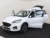Ford-Kuga