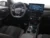 Ford-Kuga