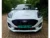 Ford-Puma