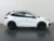 Ford-Kuga