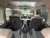 Volkswagen-Multivan