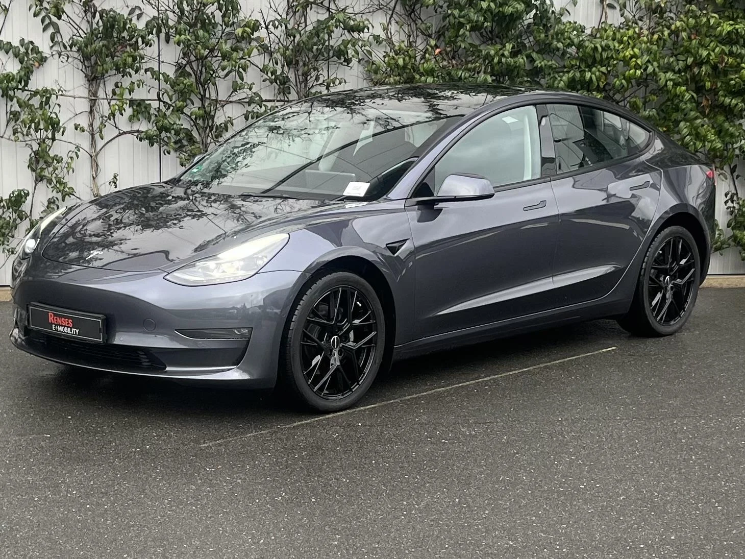 Tesla Model 3 LR AWD 12% - Renses