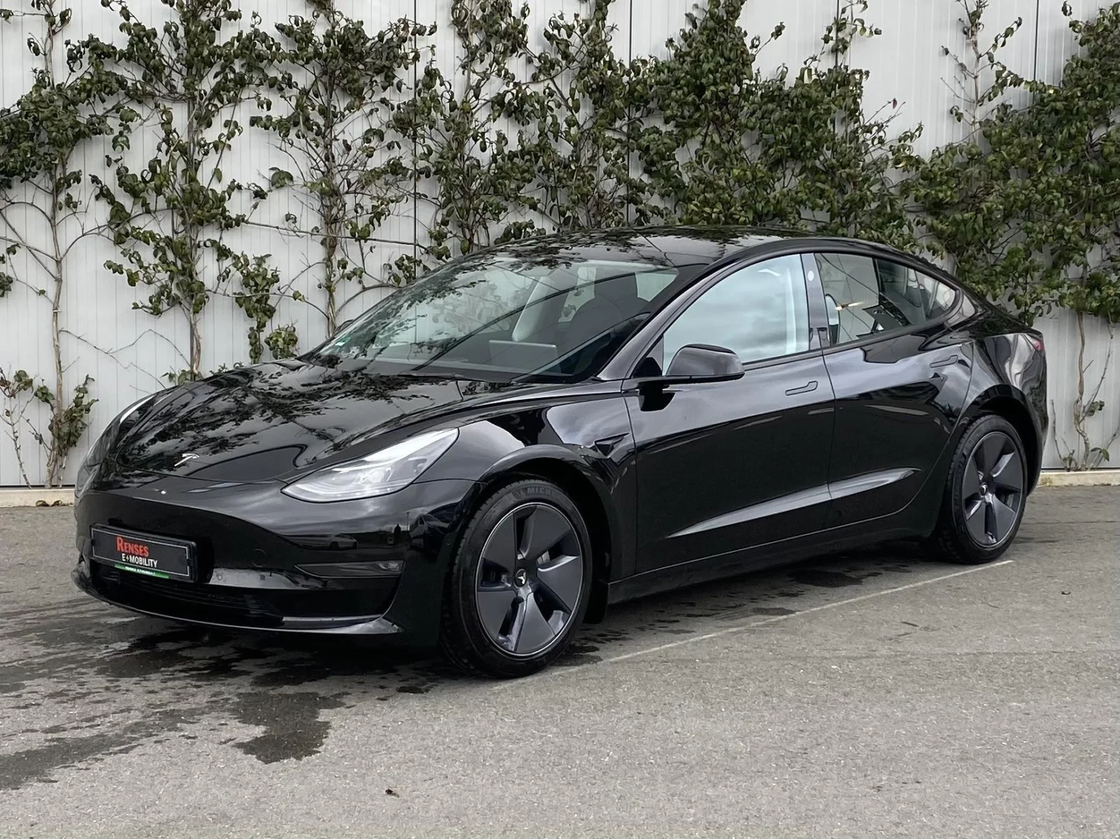 Tesla Model 3 LR - Renses E-abonnement 899