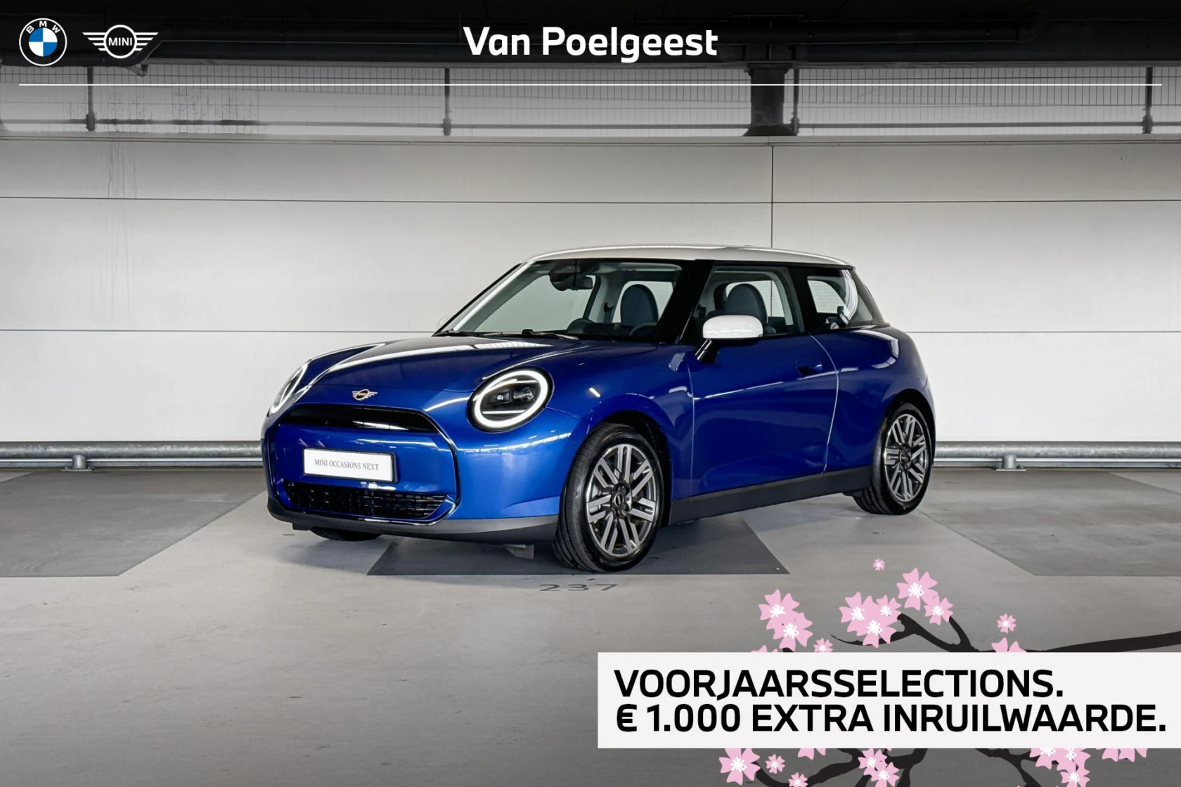 MINI-Mini Electric