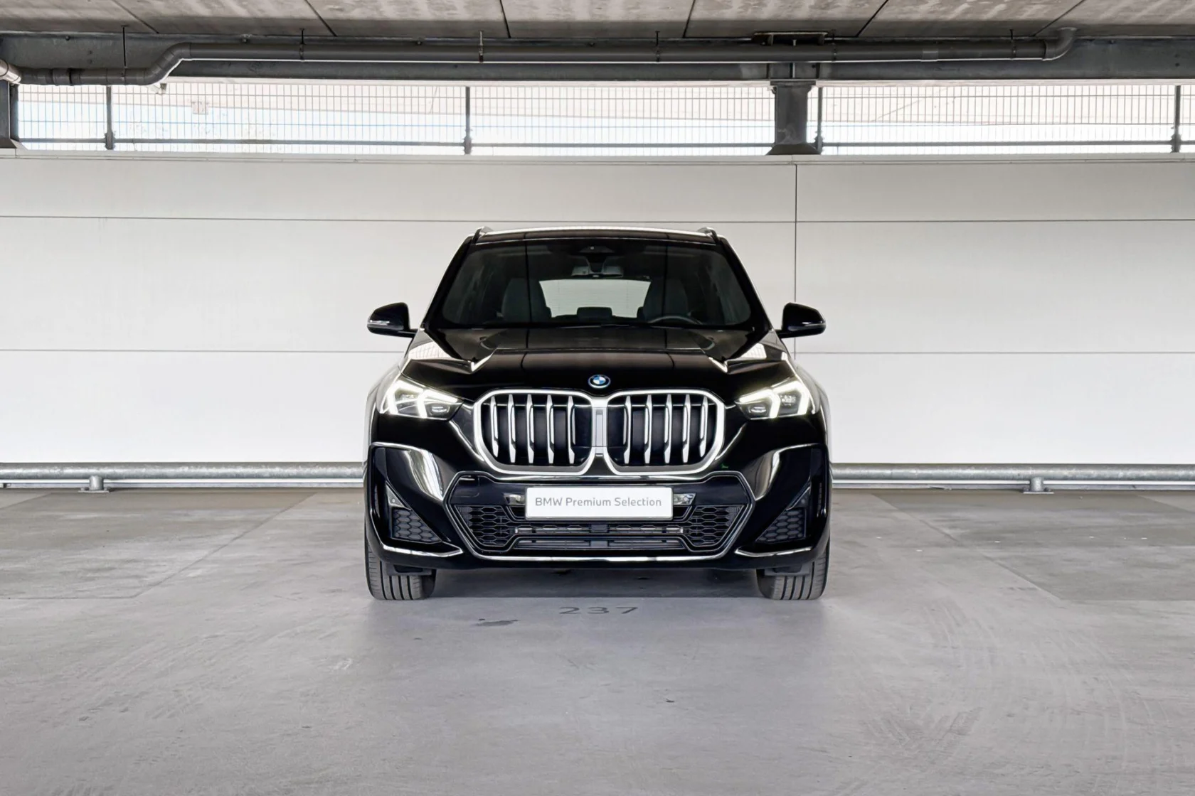 BMW-X1