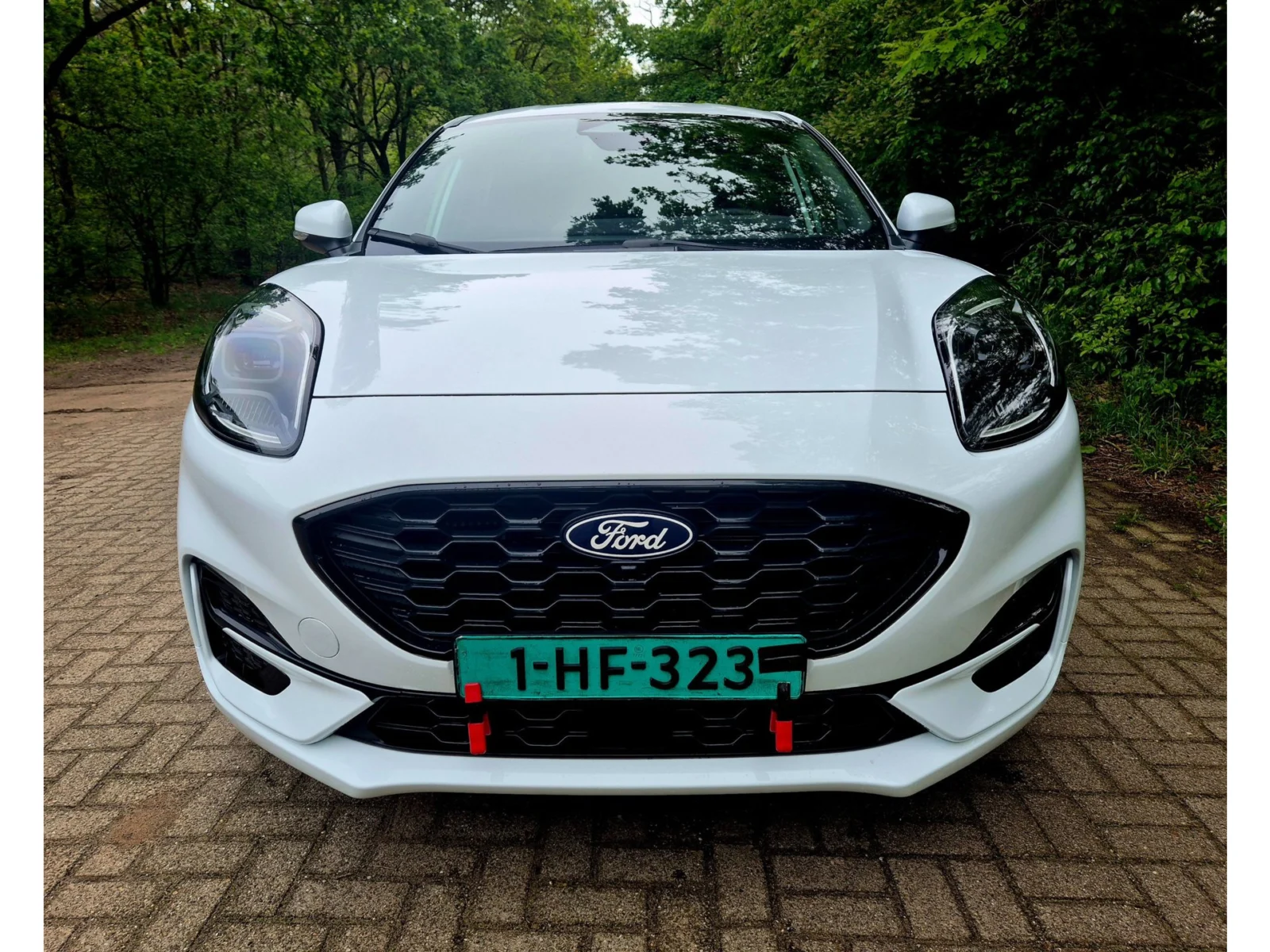 Ford-Puma