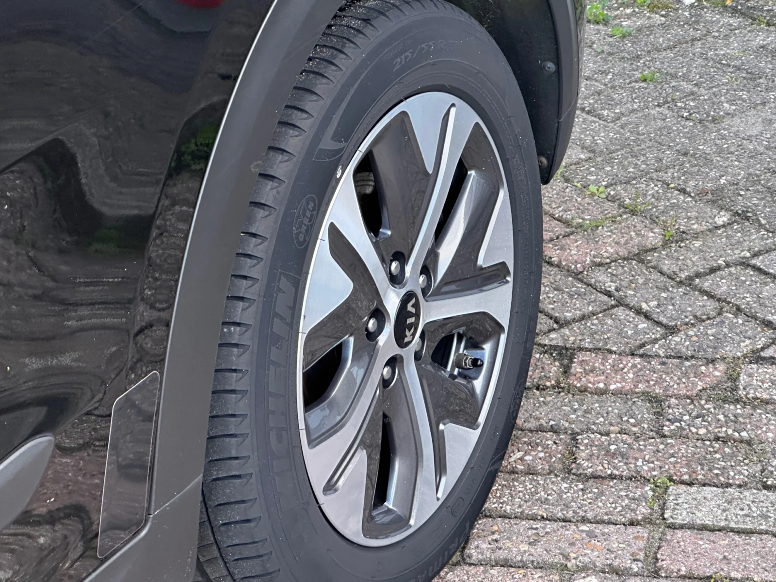 Kia e-Niro DynamicPlusLine ORG NL