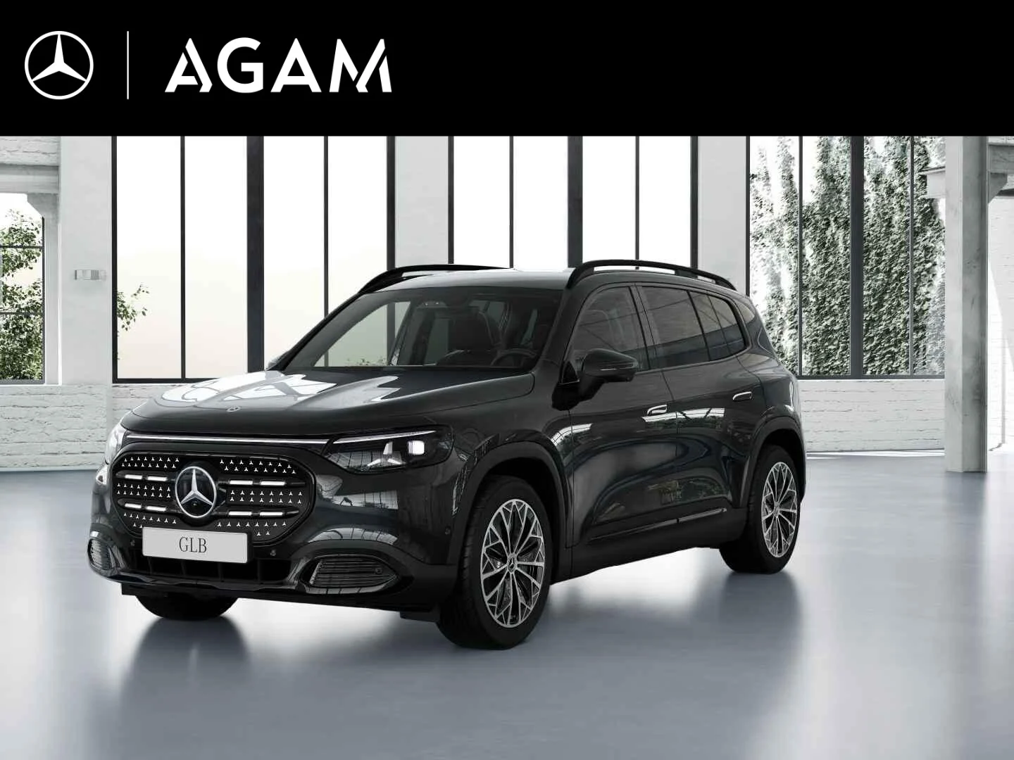 Mercedes-Benz GLB-klasse 250+ Business Solution Luxury