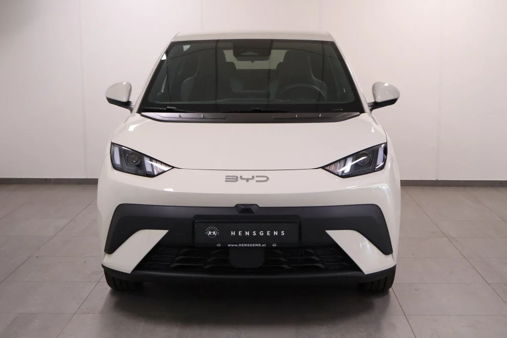 BYD Dolphin SURF Boost