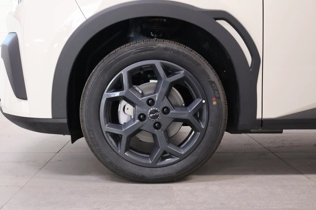 BYD Dolphin SURF Boost