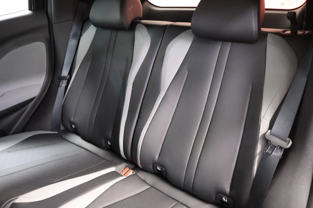 BYD Dolphin SURF Boost