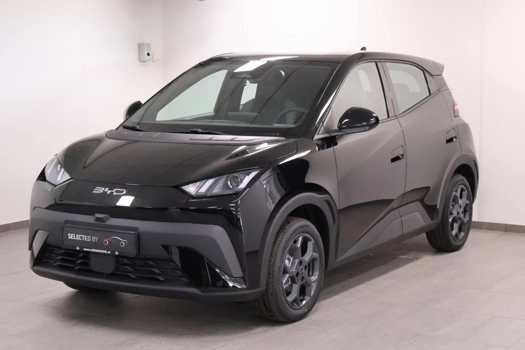 BYD Dolphin SURF Boost