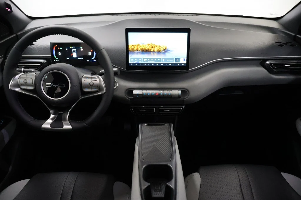 BYD Dolphin SURF Boost