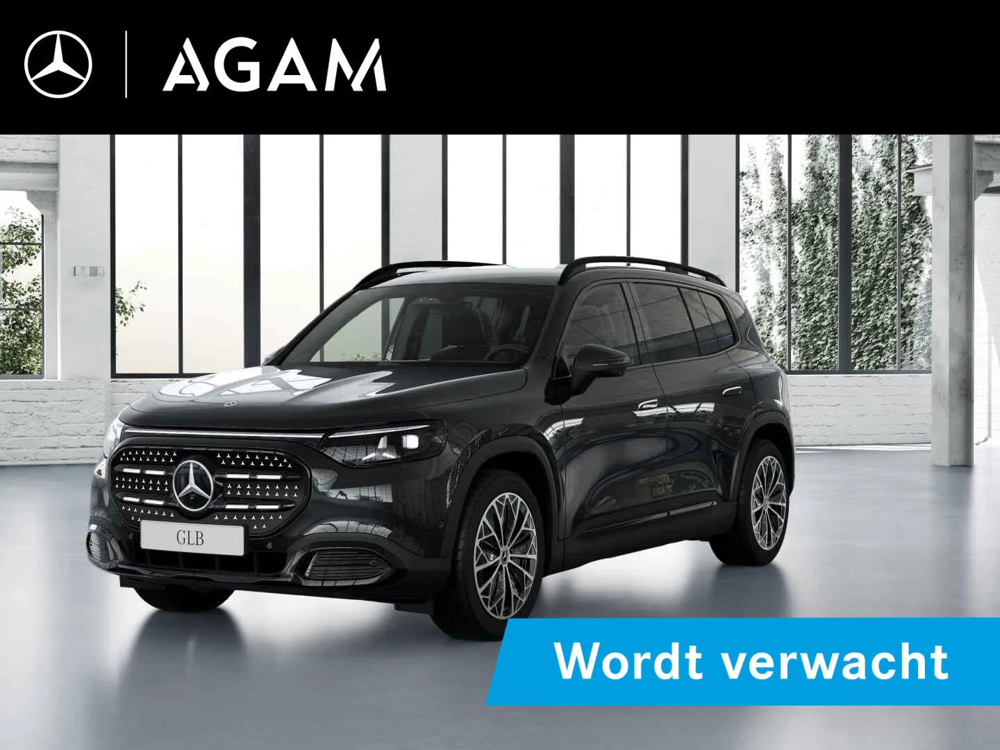 Mercedes-Benz GLB-klasse 250+ Business Solution Luxury