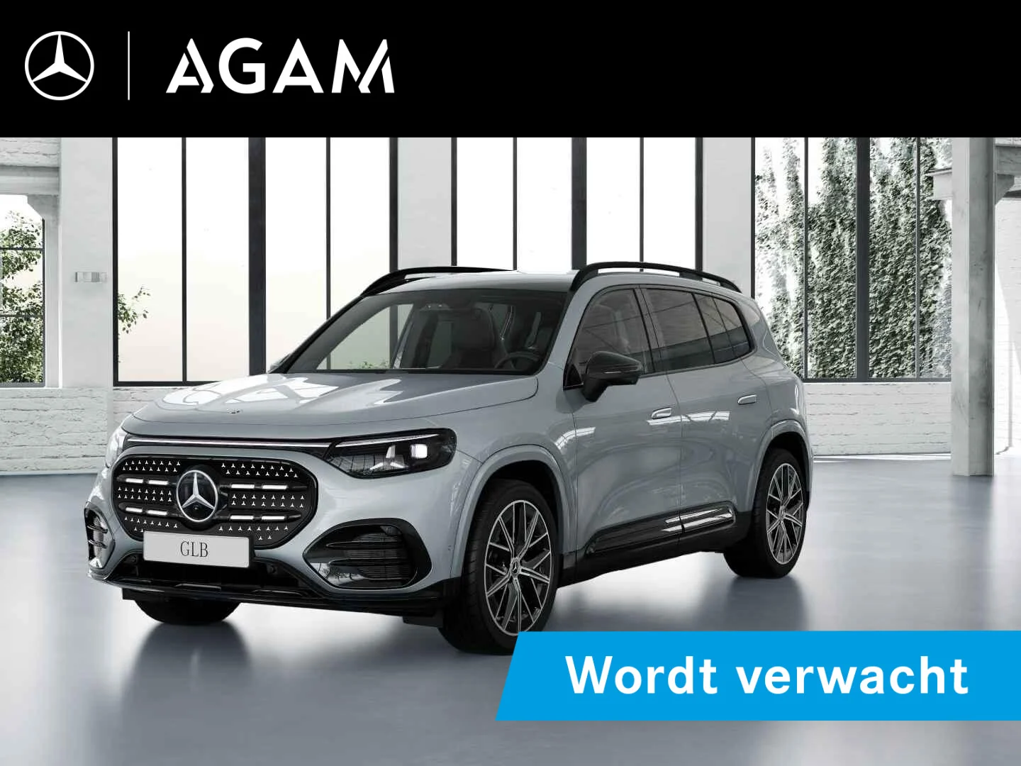 Mercedes-Benz GLB-klasse 250+ Business Solution AMG