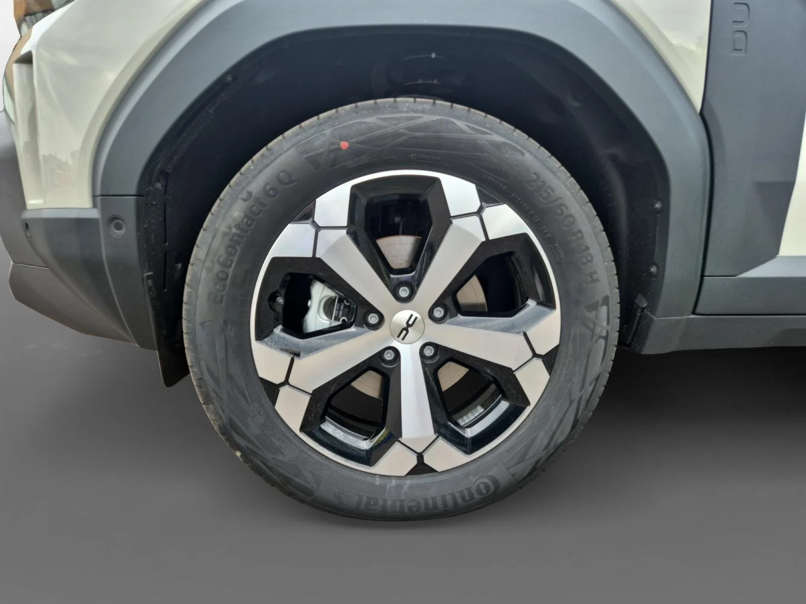 Dacia-Duster