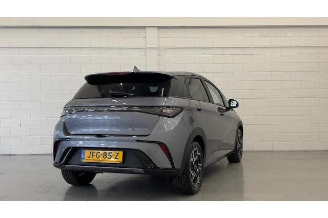 BYD Dolphin Design