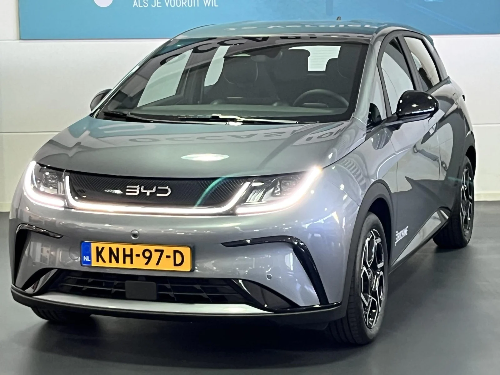 BYD Dolphin Design