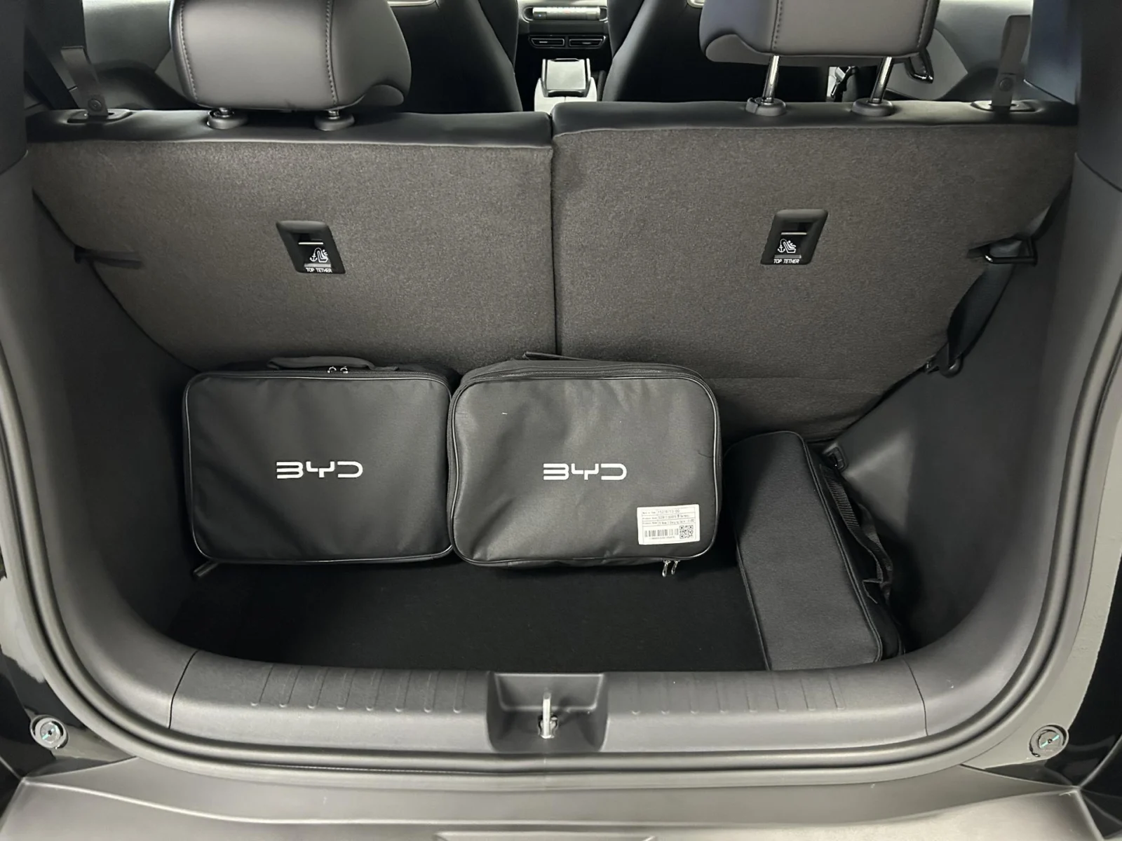 BYD Dolphin SURF Boost