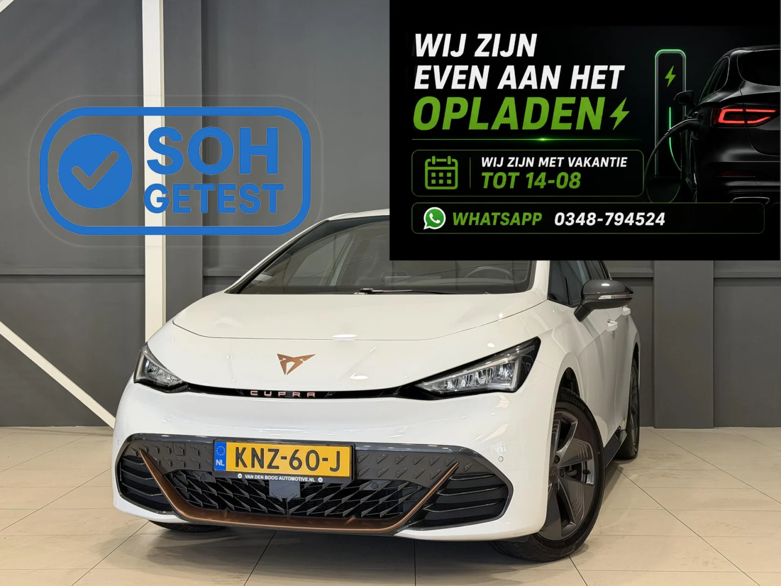 Cupra Born Business