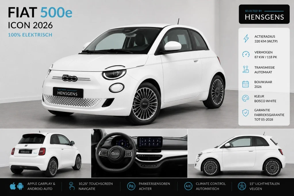 Fiat 500 Icon