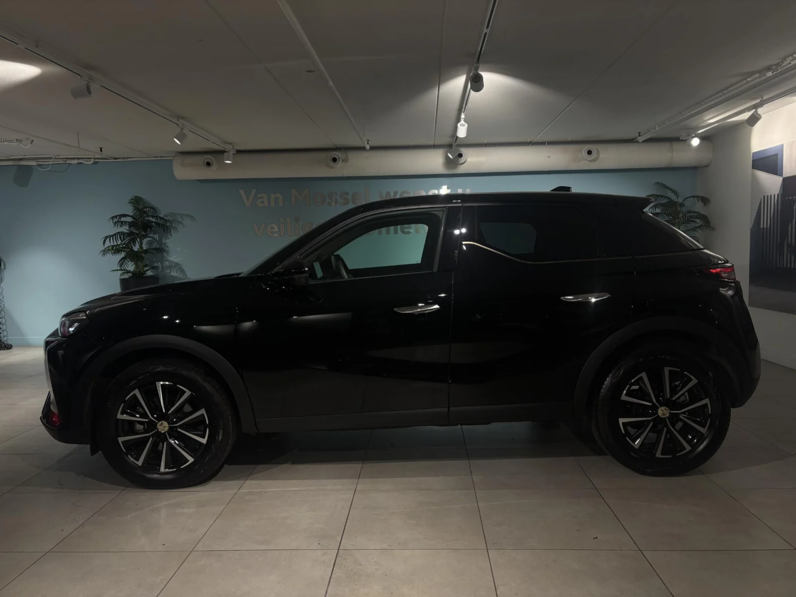 DS-DS 3