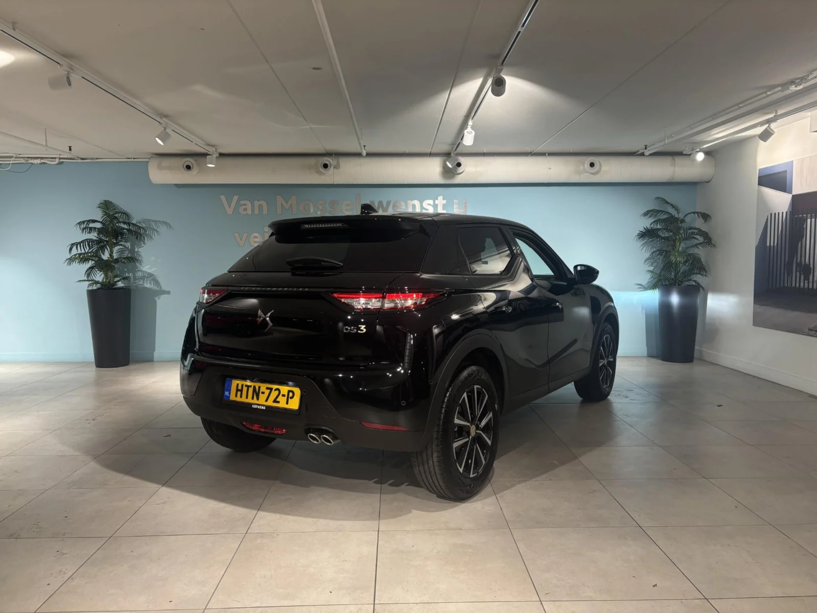 DS-DS 3