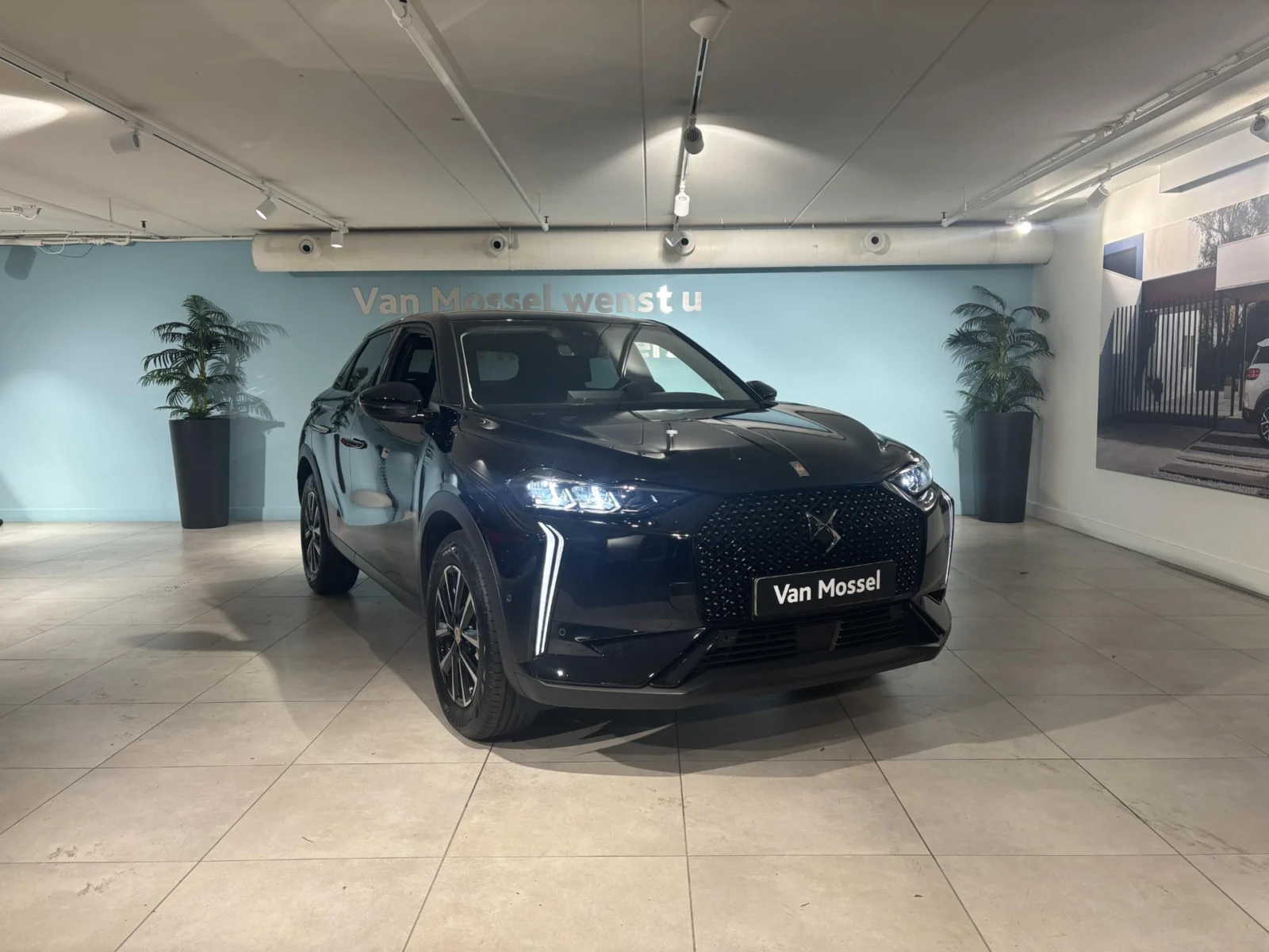 DS-DS 3