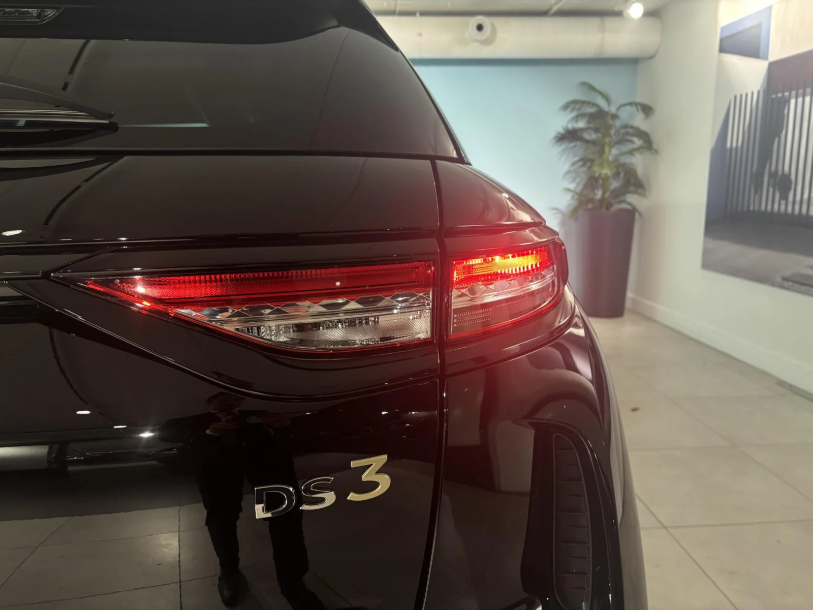 DS-DS 3